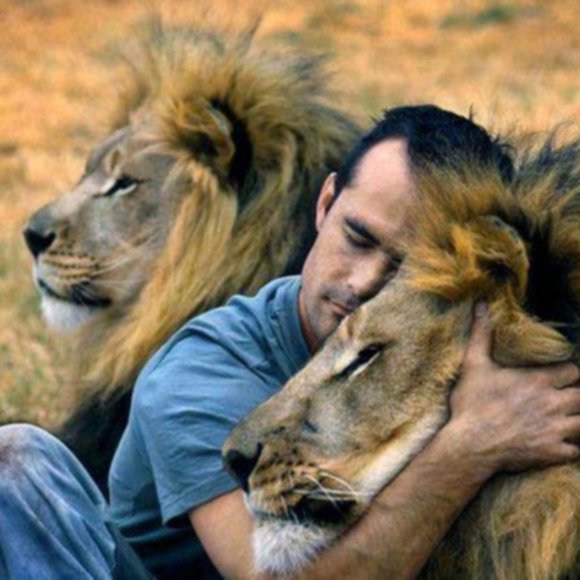 Welcome to the Robin's Nest - Picture 6 of 16